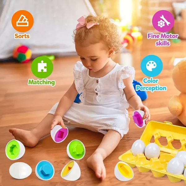 Shape and Color Matching Eggs - Image 3