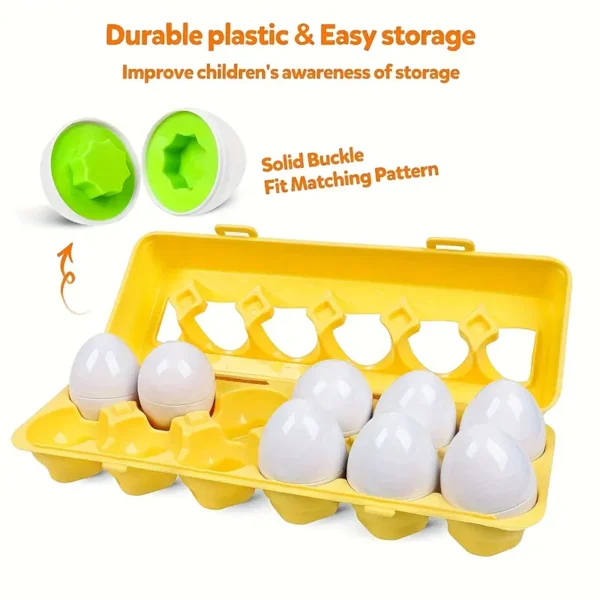 Shape and Color Matching Eggs - Image 5